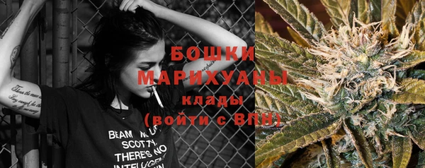 PSILOCYBIN Кинешма