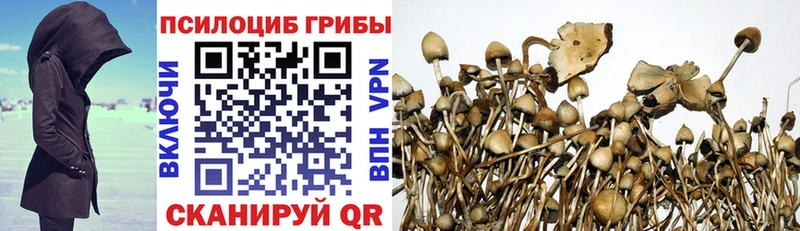 blacksprut маркетплейс  как найти наркотики  Краснослободск  Псилоцибиновые грибы мицелий 